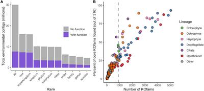 Diel-Regulated Transcriptional Cascades of Microbial Eukaryotes in the North Pacific Subtropical Gyre